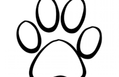 paw